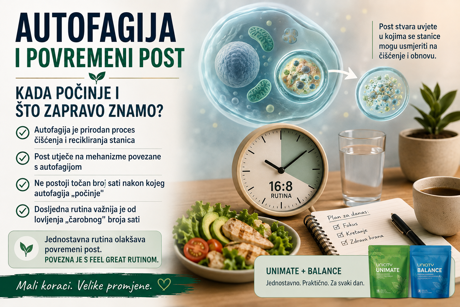 Autofagija i povremeni post: kada počinje i što zapravo znamo?